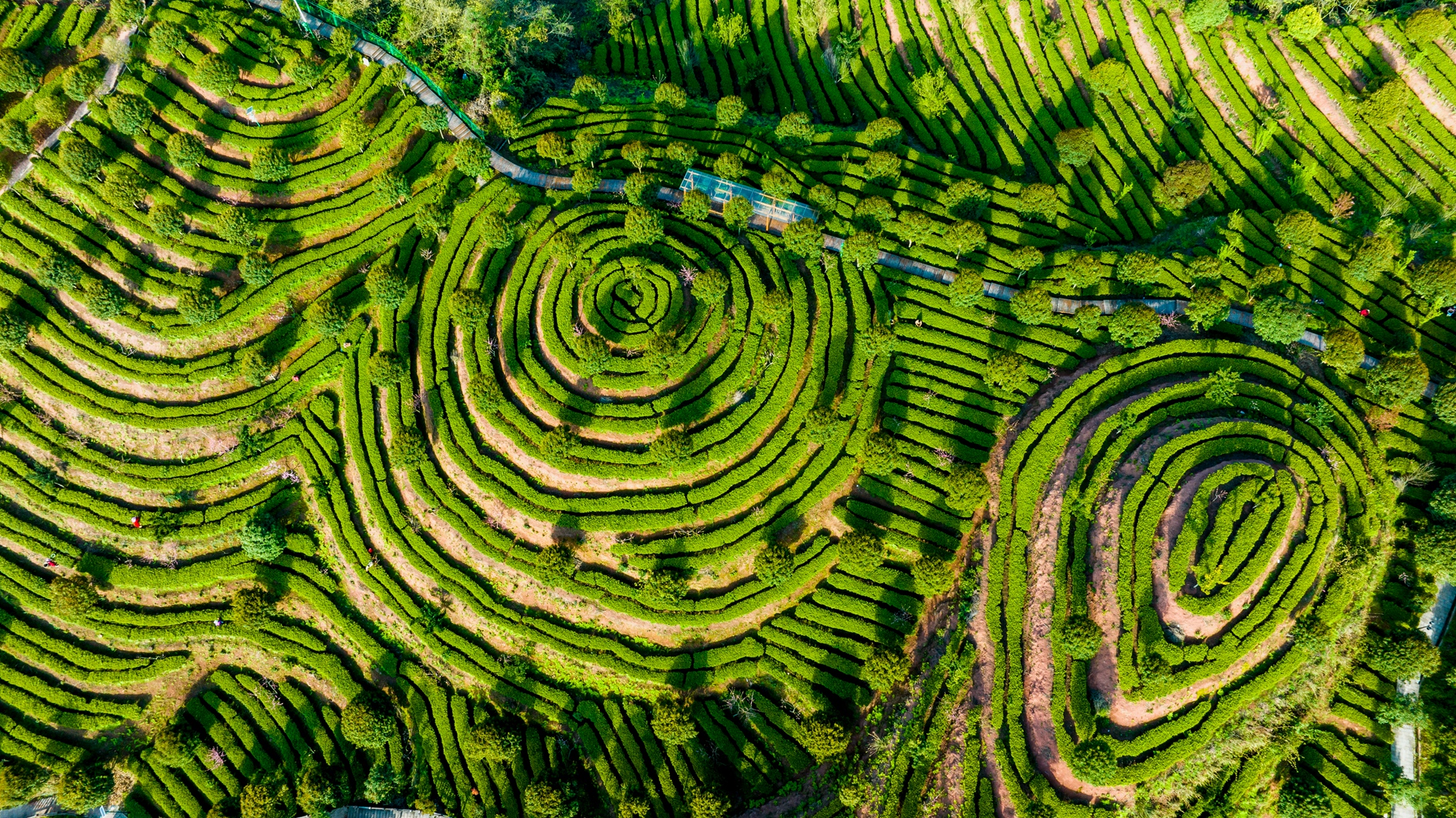 我的2023|文林:风情恩施