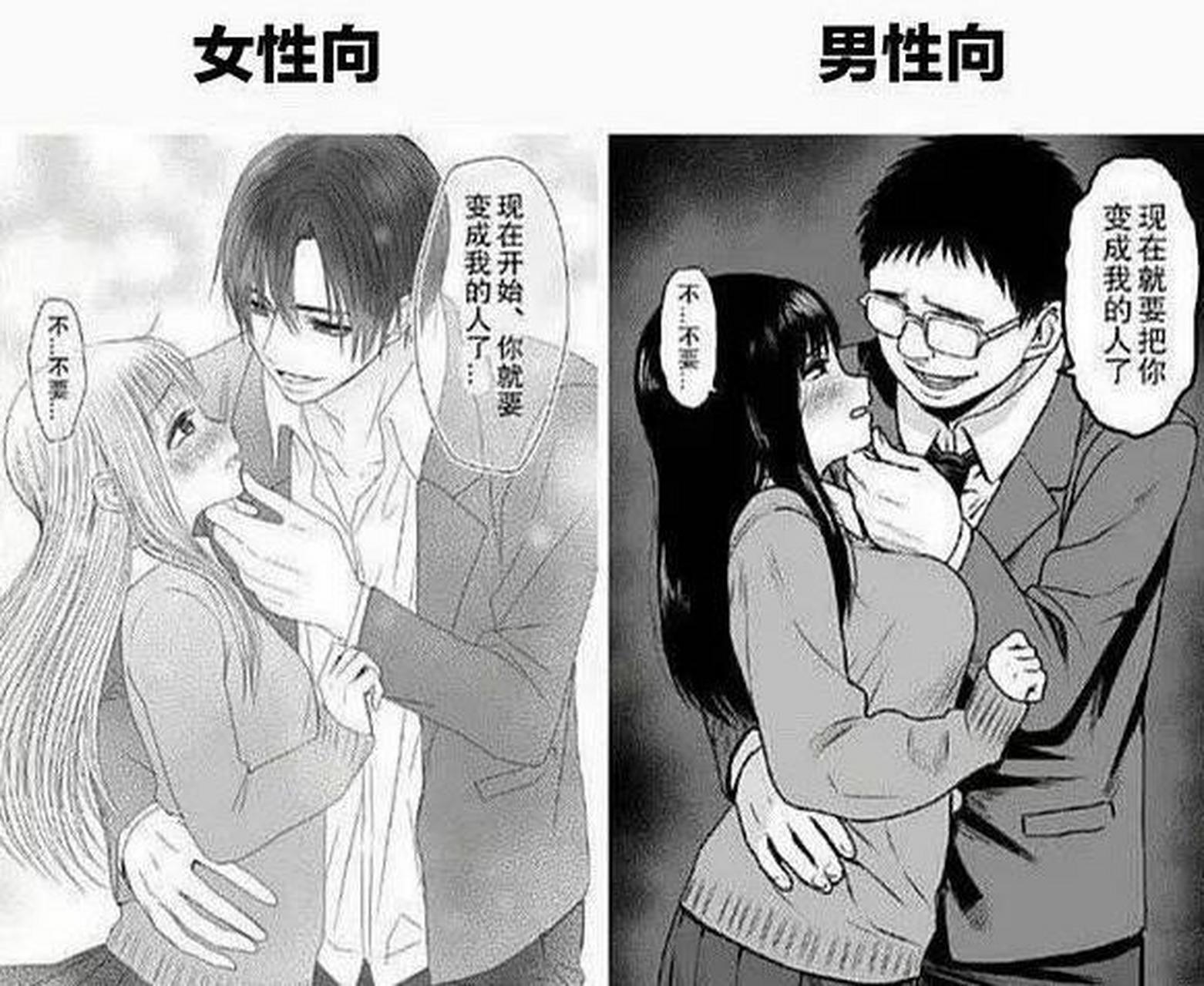 女性向和男性向