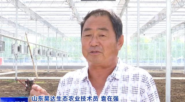 临淄:昊达生态农业,瓜果采摘正当时