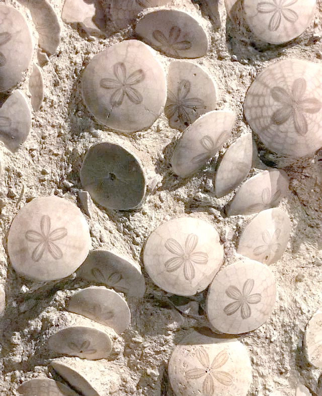 沙币(沙币兑换人民币多少钱)