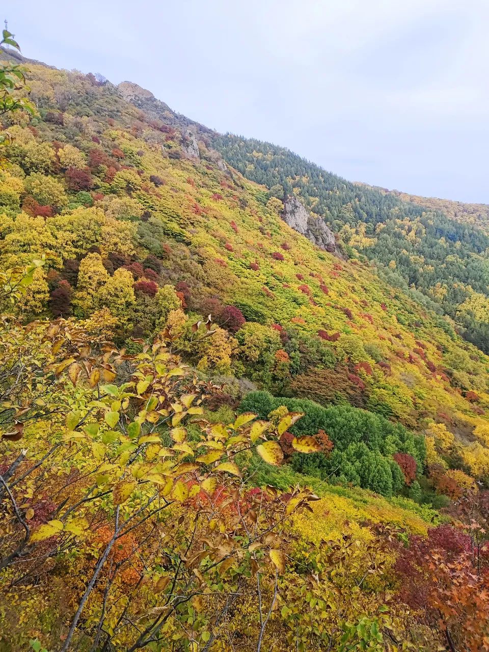 秋染茅荆坝,等你来探索的色彩王国