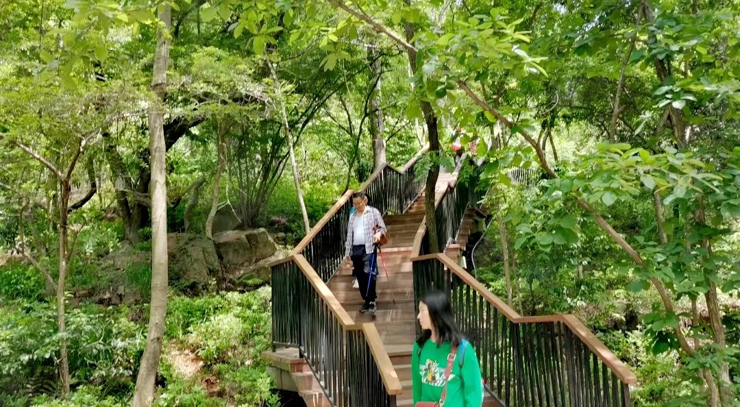 江夏爬山图片