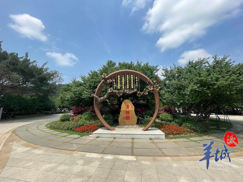 有人擅自"上树摘果"?广州萝岗香雪公园:已制止,将开展青梅共享活动