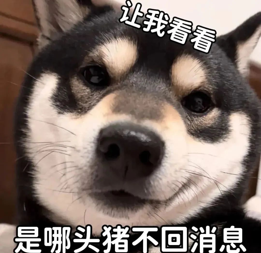 聊天常用表情包:你是否被形容为"舔狗"?