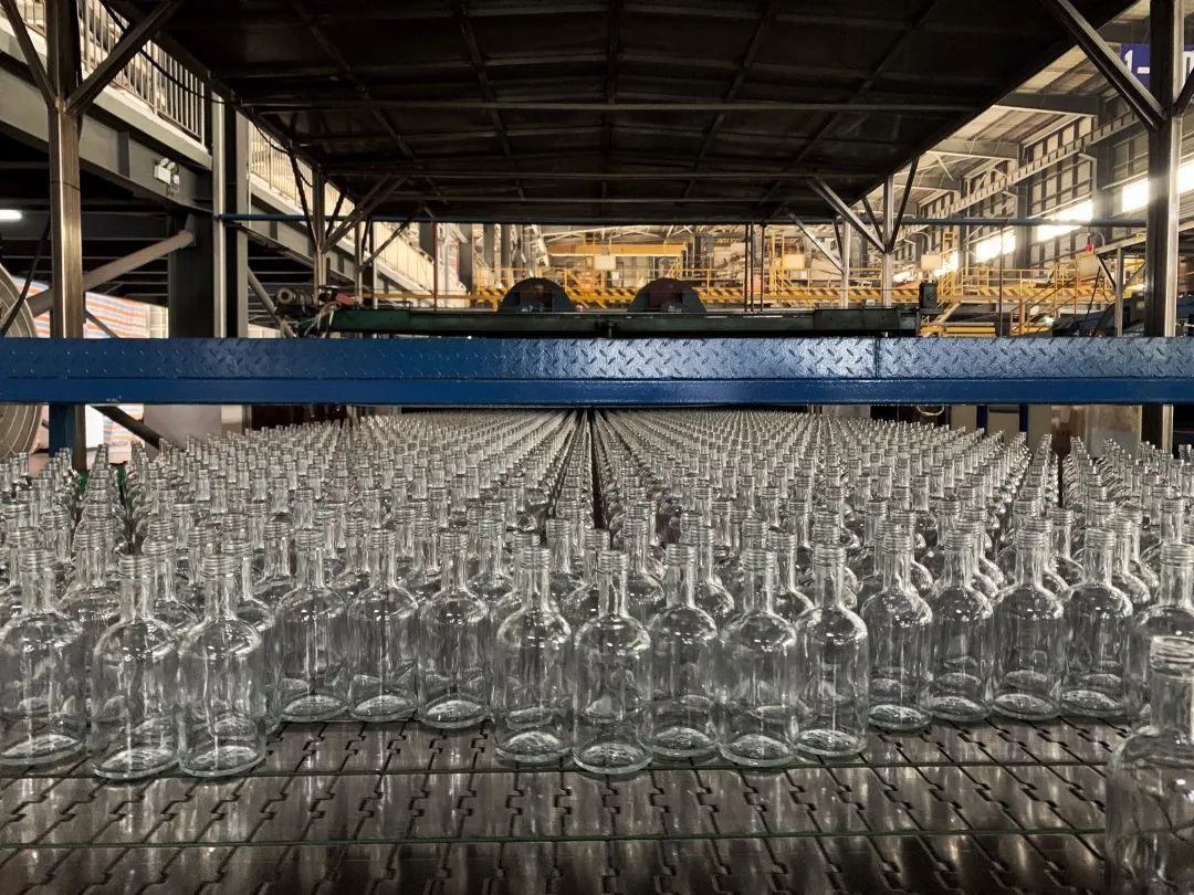 一粒高粱一杯美酒,探访酒香里的产业链