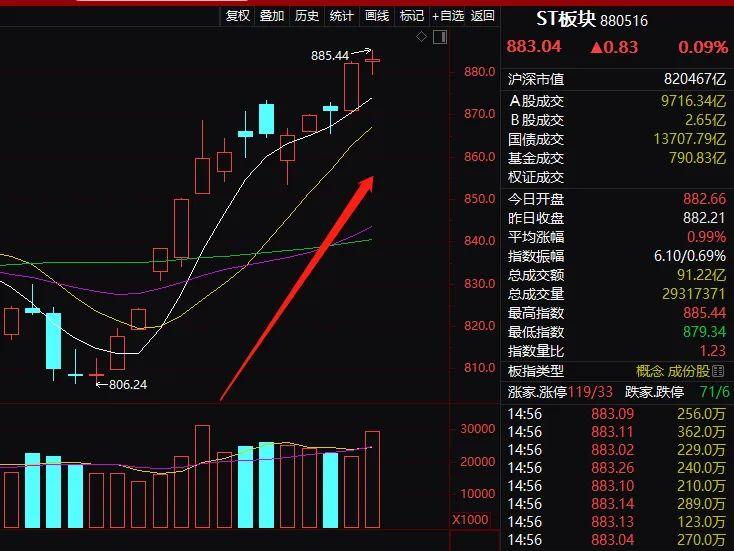 两周净值断崖式下跌,前公募"一哥"任泽松这是买了什么?