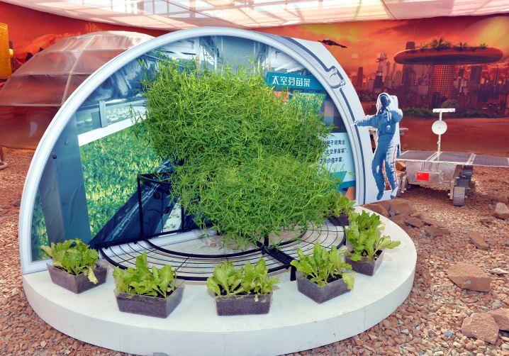 送上太空的"神秘"种子,究竟如何"变身"?