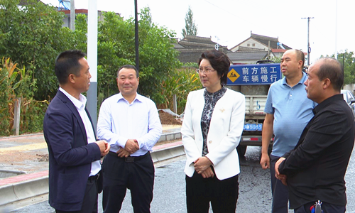 代县长李维芳调研城市建设工作