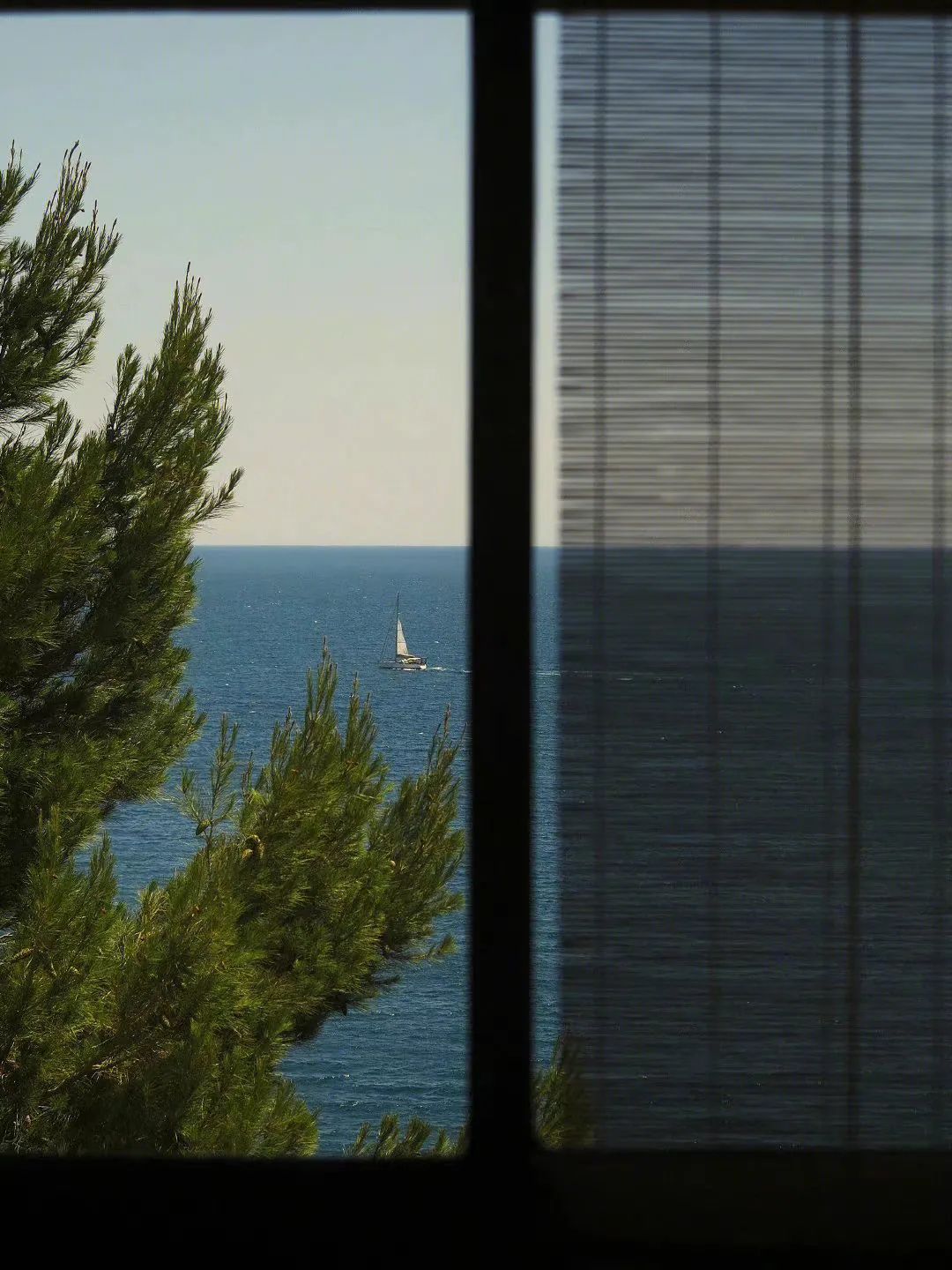 摄影师镜头下的海太太太好看啦