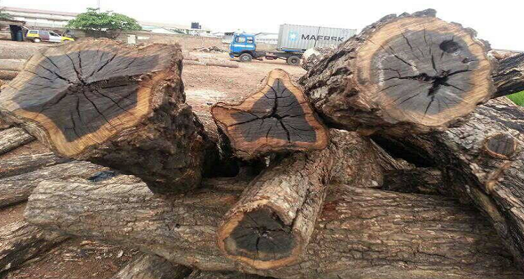 真正的黑檀木一般有多贵