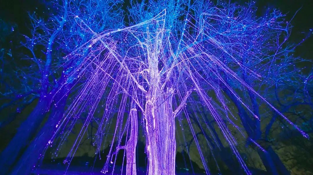 「玉渊潭万物共生光影展」特惠!通往奇幻星球的时光机限时开启!