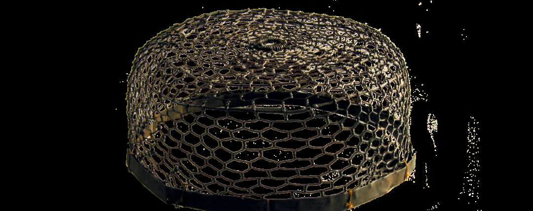 金代完颜娄室墓中出土的奢华文物