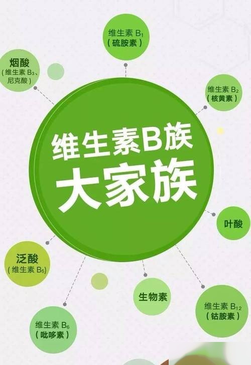 维生素b族pop手绘海报图片