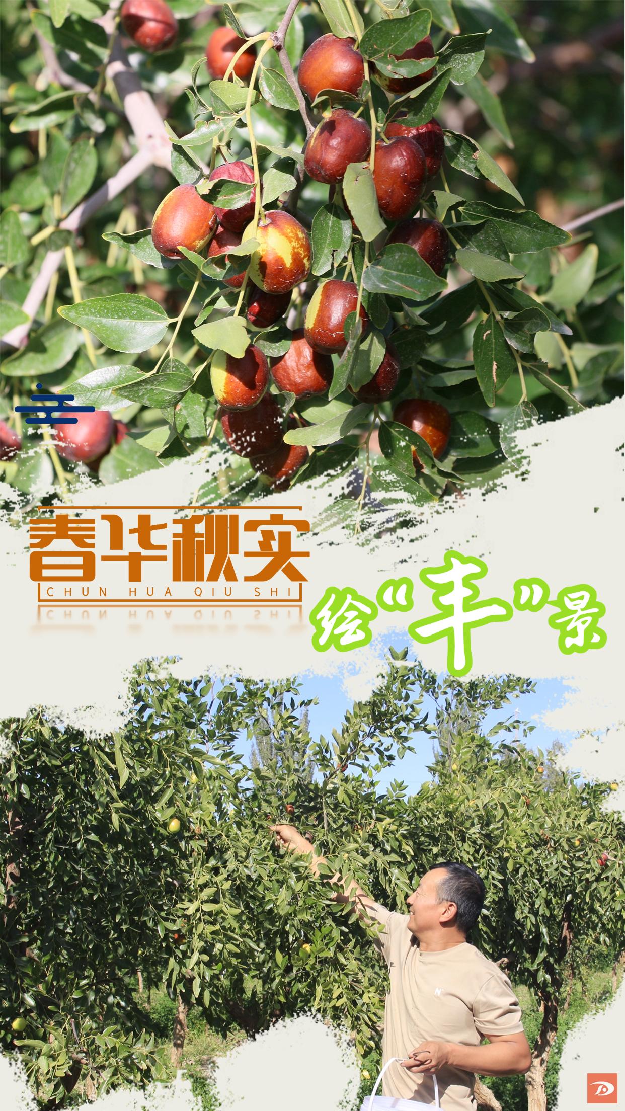 海报|春华秋实绘"丰"景