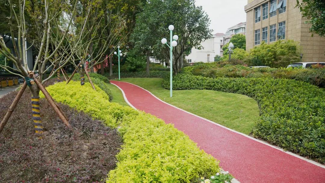 全长约2650米!汶水东路沿线景观有大变化