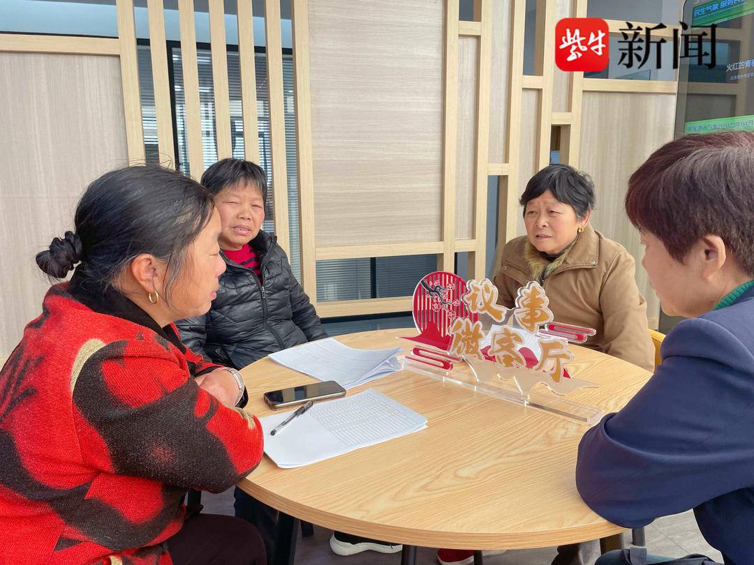 张家港市乐余镇:"微网精治"里的"风光正好"