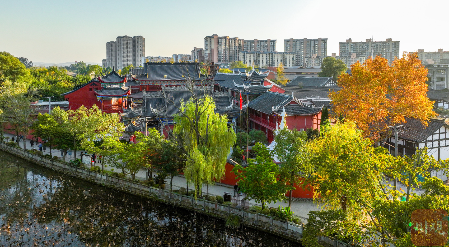 c视觉︱成都青白江家珍公园冬景如画
