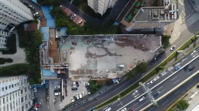 100天逾55000平方米!徐汇的"头丝"更"清桑"了