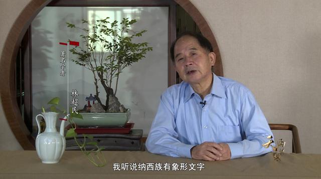 林超民-薪火相传 继长增高(二)