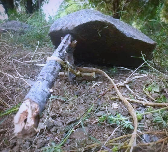 徒手在蛮荒中建造捕猎陷阱,保障生存