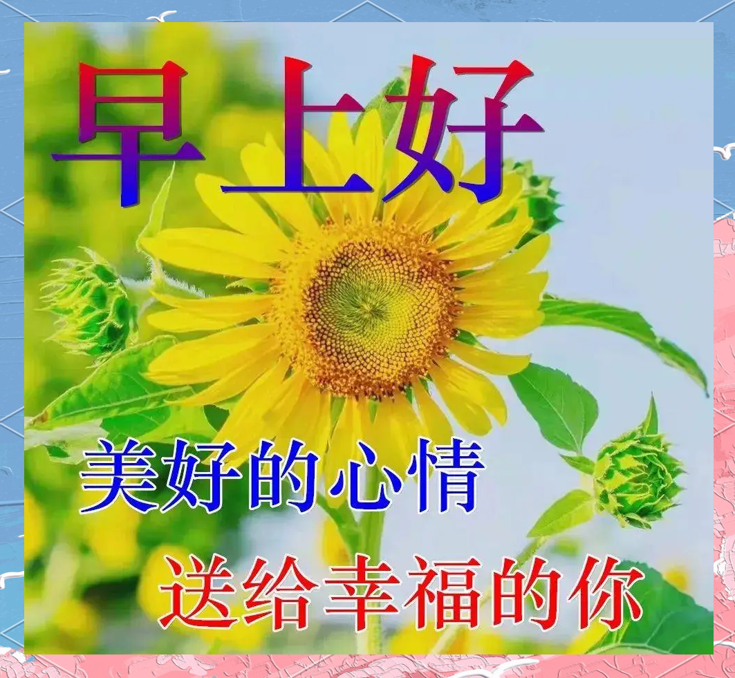 用早安问候表情包开启美好的一天