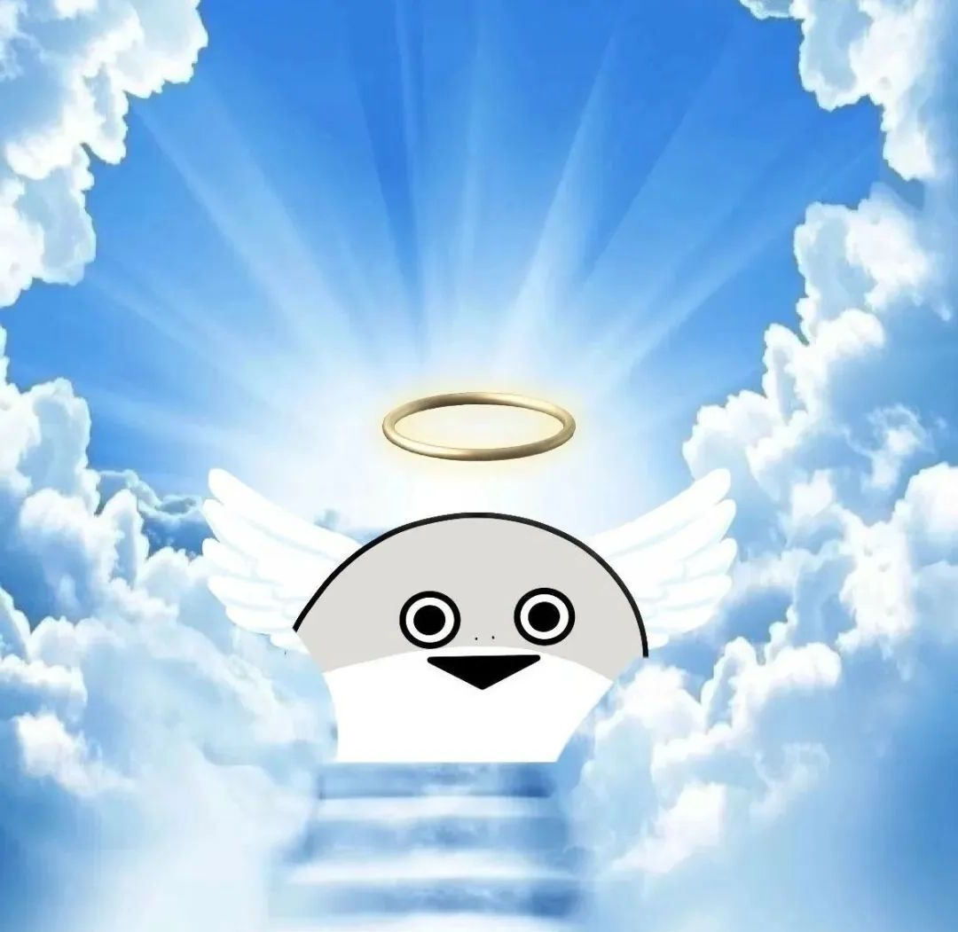 萨卡班甲鱼表情包分享与操作指南