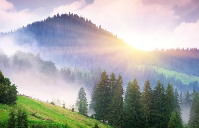 黎明是什么意思?