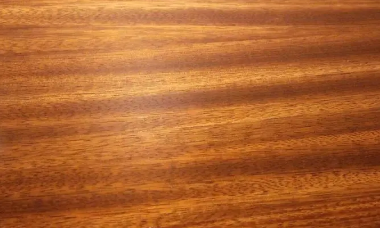 短盖豆是什么木材