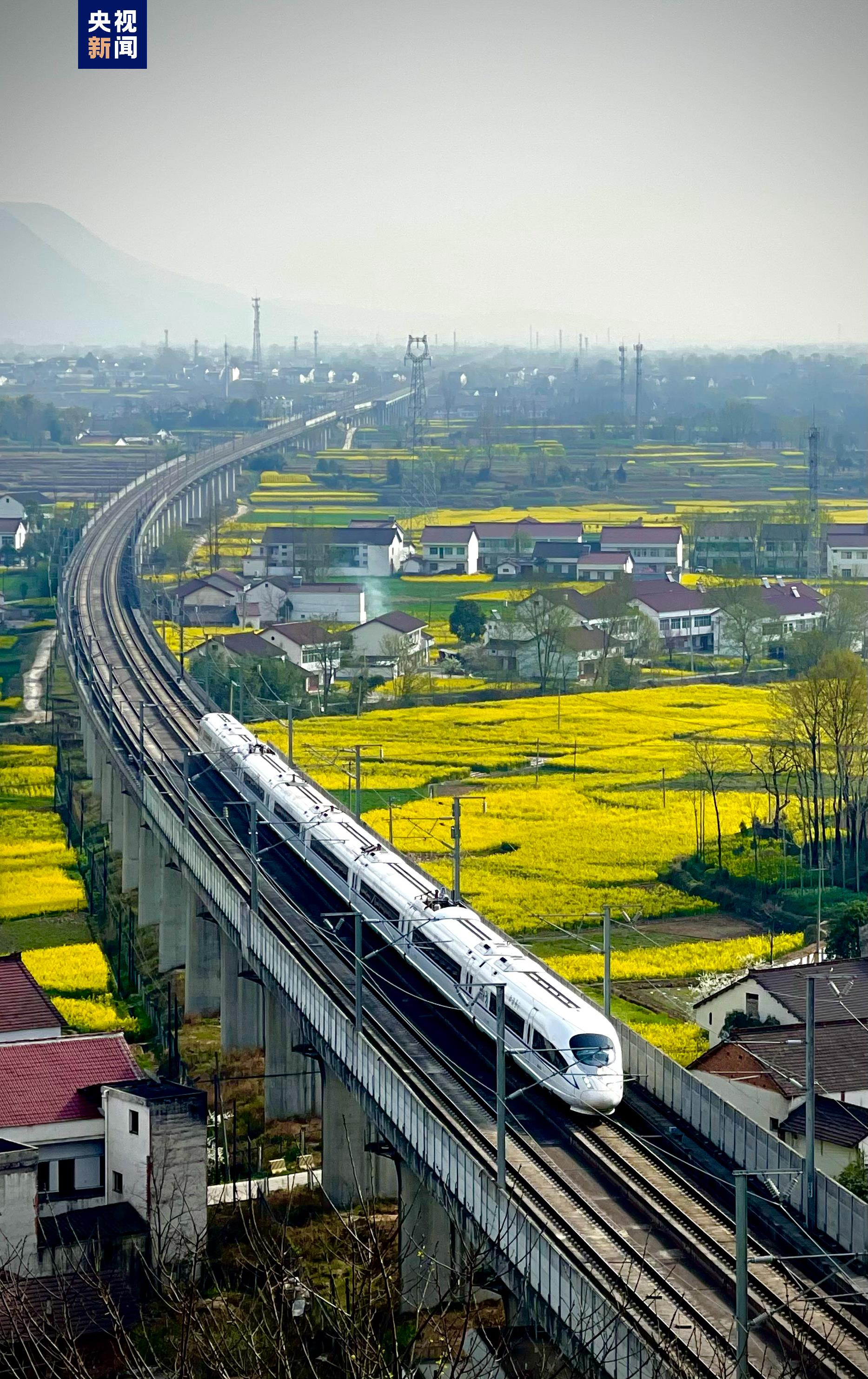说走就走的旅行!乘"公交化"高铁穿行油菜花海