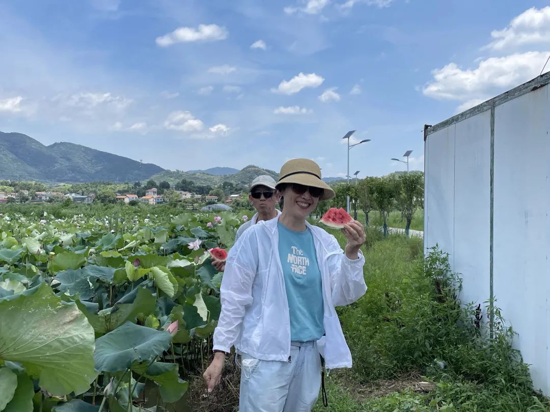 三产融合|黄材镇:绘就富民新画卷