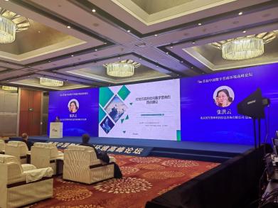 民生智库张洪云总裁应邀出席首届中国数字营商高峰论坛