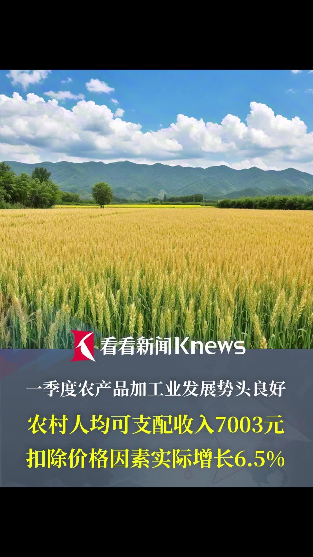 2020年农村致富项目(2020年农村致富项目实施方案)
