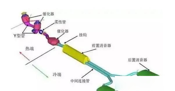 排气管解剖图图片