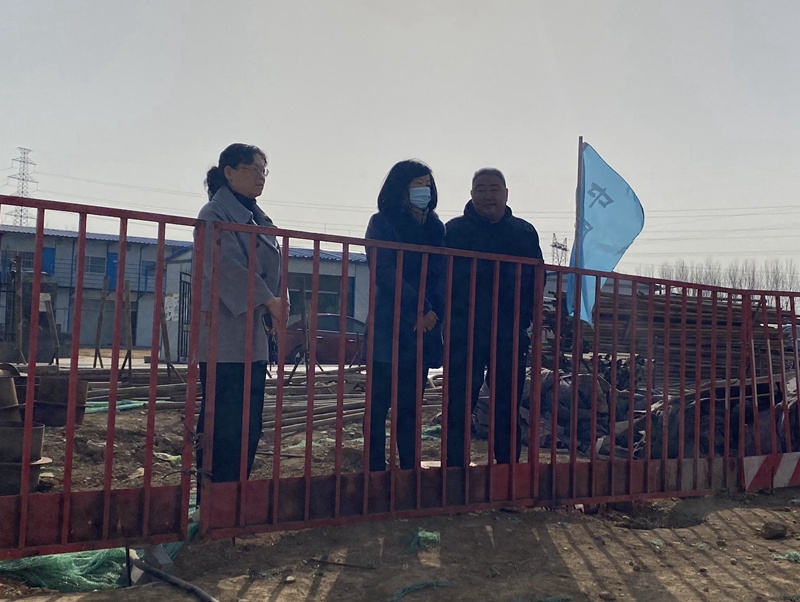 白云霞走访平煤隆基年产3000万套光伏组件材料项目