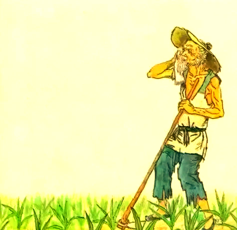 锄禾日当午的争议与解析