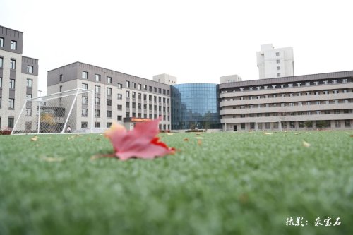 沈阳市旅游学校五年制3 2专业中考志愿填报指南