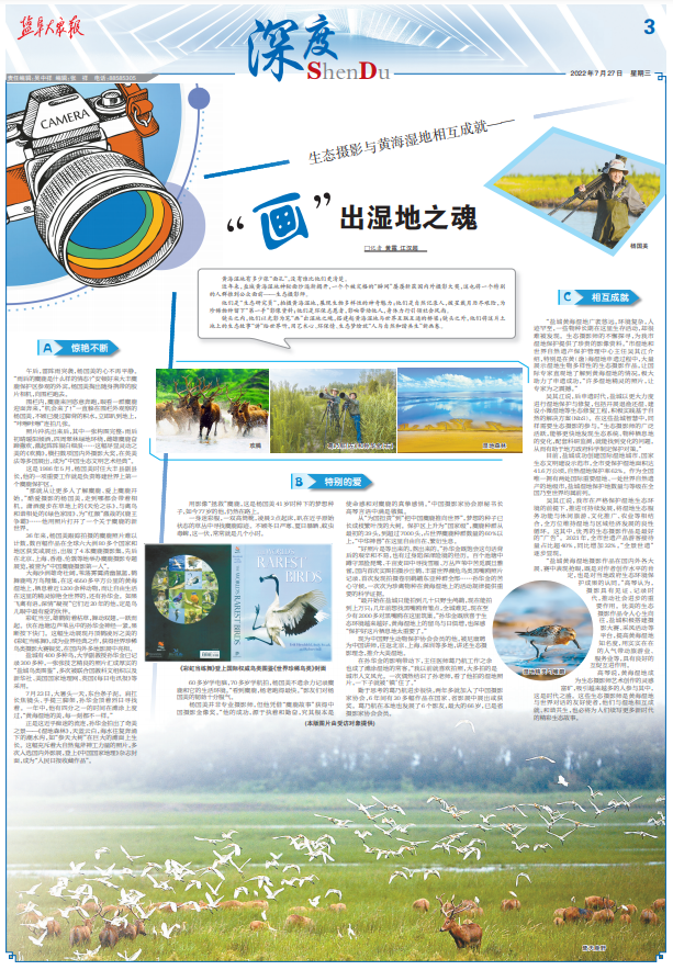 江苏风113省市党报七月优秀版面赏析