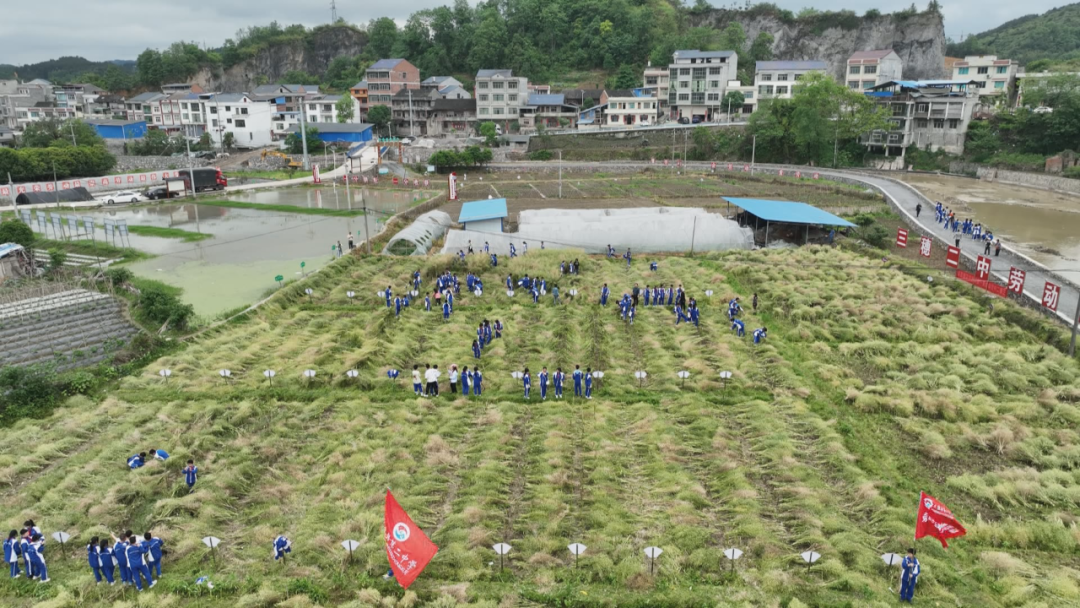 三穗县第二中学:劳动实践让学生体验农耕生活