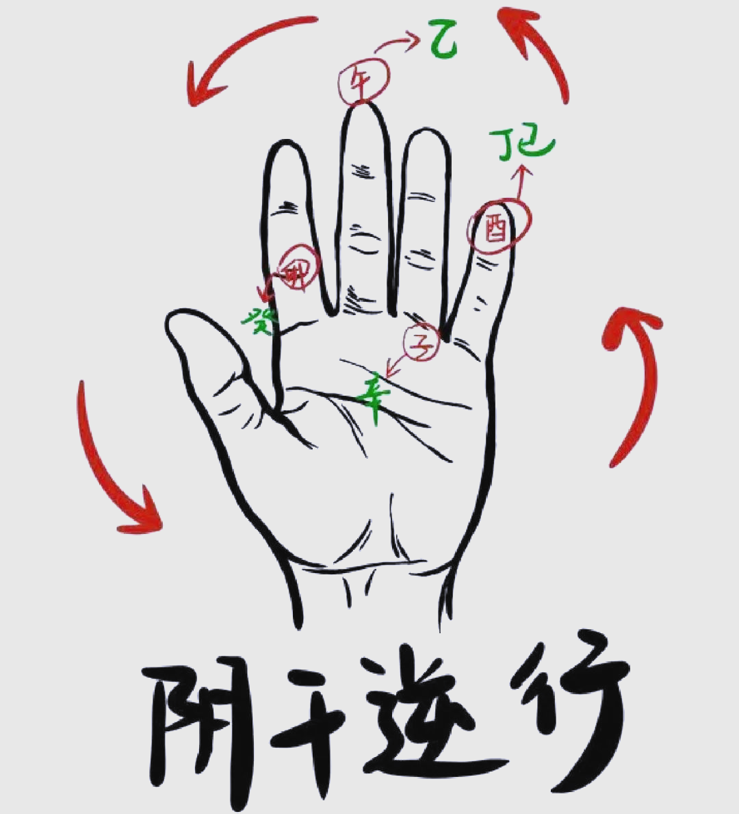 轻松掌握天干十二长生,长生掌诀助你一臂之力