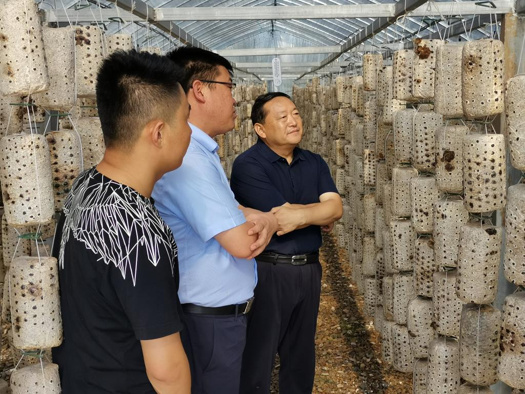 刘景堂在河庄坪镇检查防汛和脱贫攻坚工作时要求:坚持以人民为中心的