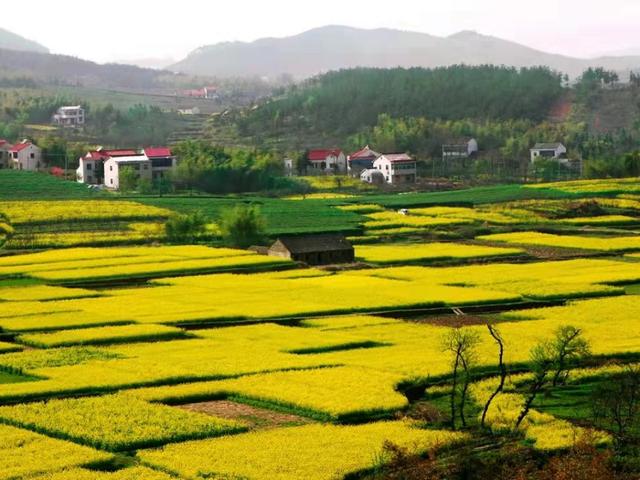 赞!宜兴市太华镇成功入选2019-2021 年度江苏省文明乡镇