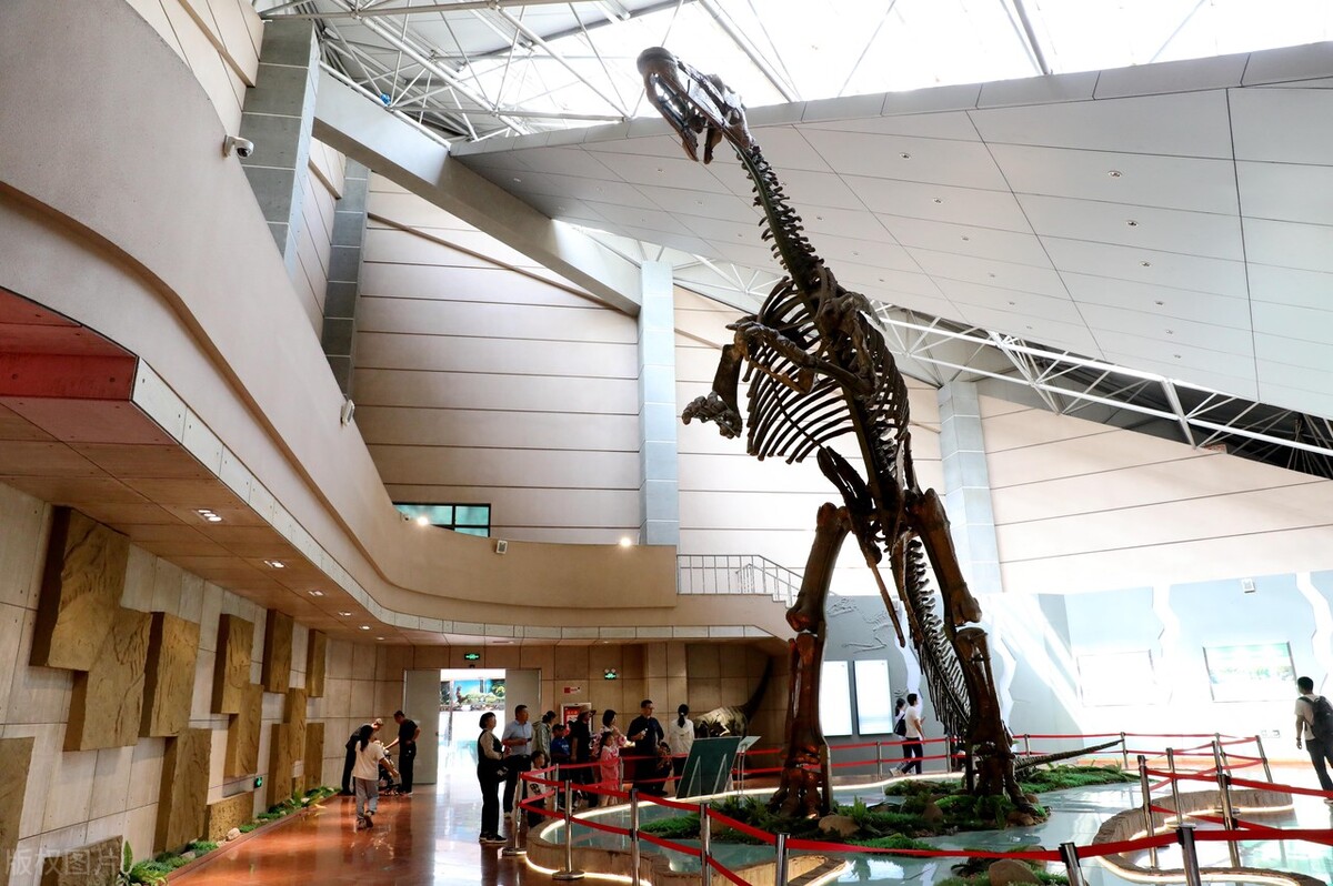 山东潍坊:参观恐龙博物馆 丰富假期生活