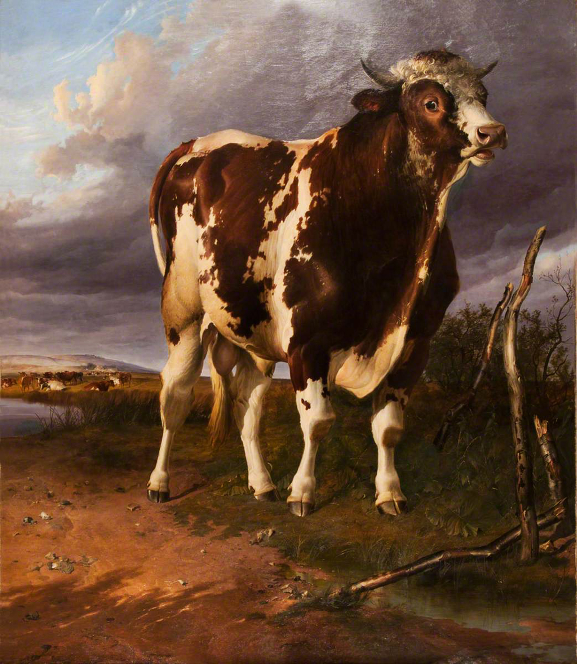 为什么画成这样?英国油画中的奶牛几乎是完全长方形的