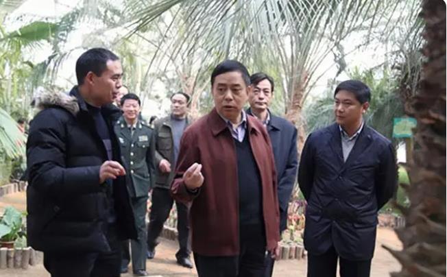 刘冬冬上将与刘伯承元帅,有什么关系?