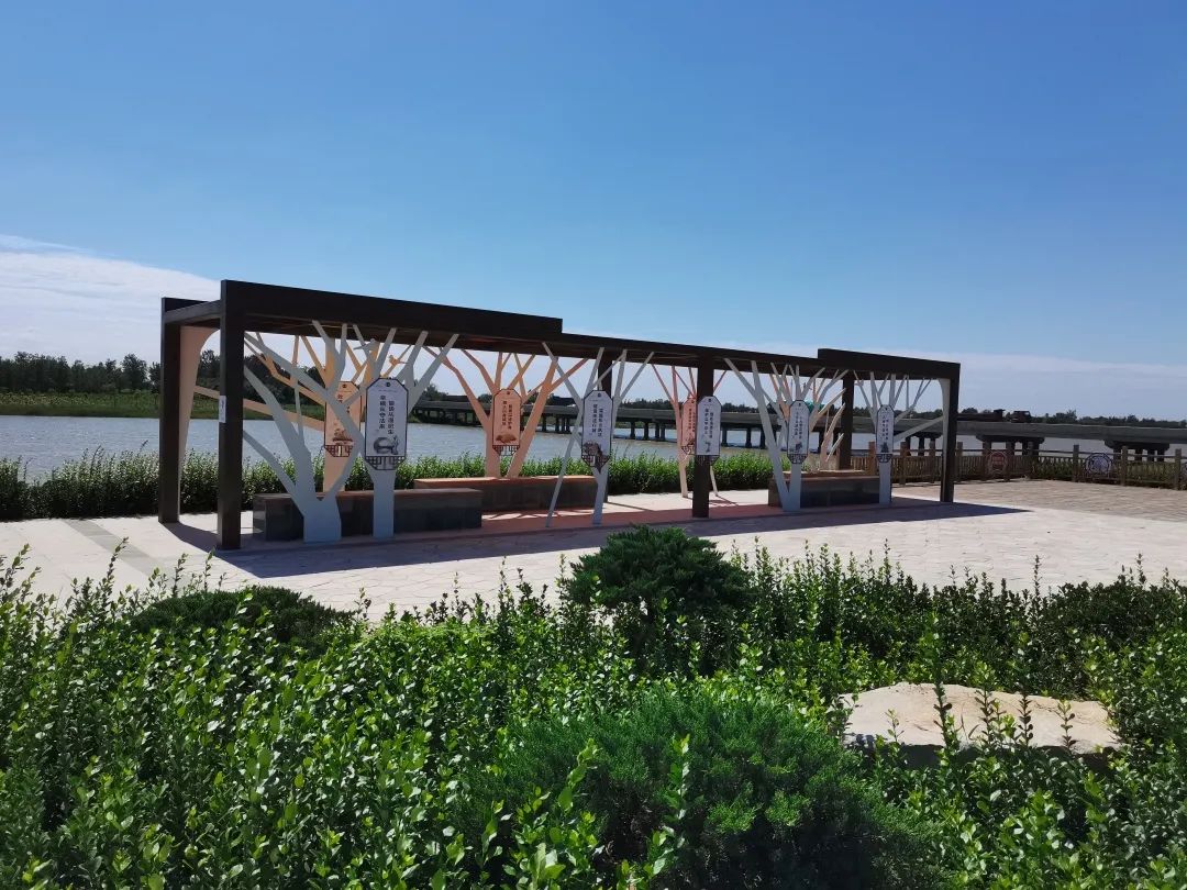 【沾化区乡村法治文化阵地展示——大高篇】大高镇:打造法治文化阵地