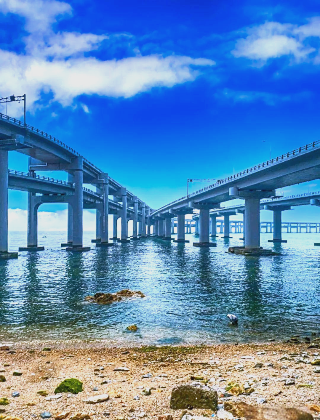 星海湾大桥:中国首座海上地锚式跨海大桥的魅力探索