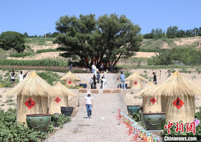 宁夏固原:乡村美景引游人