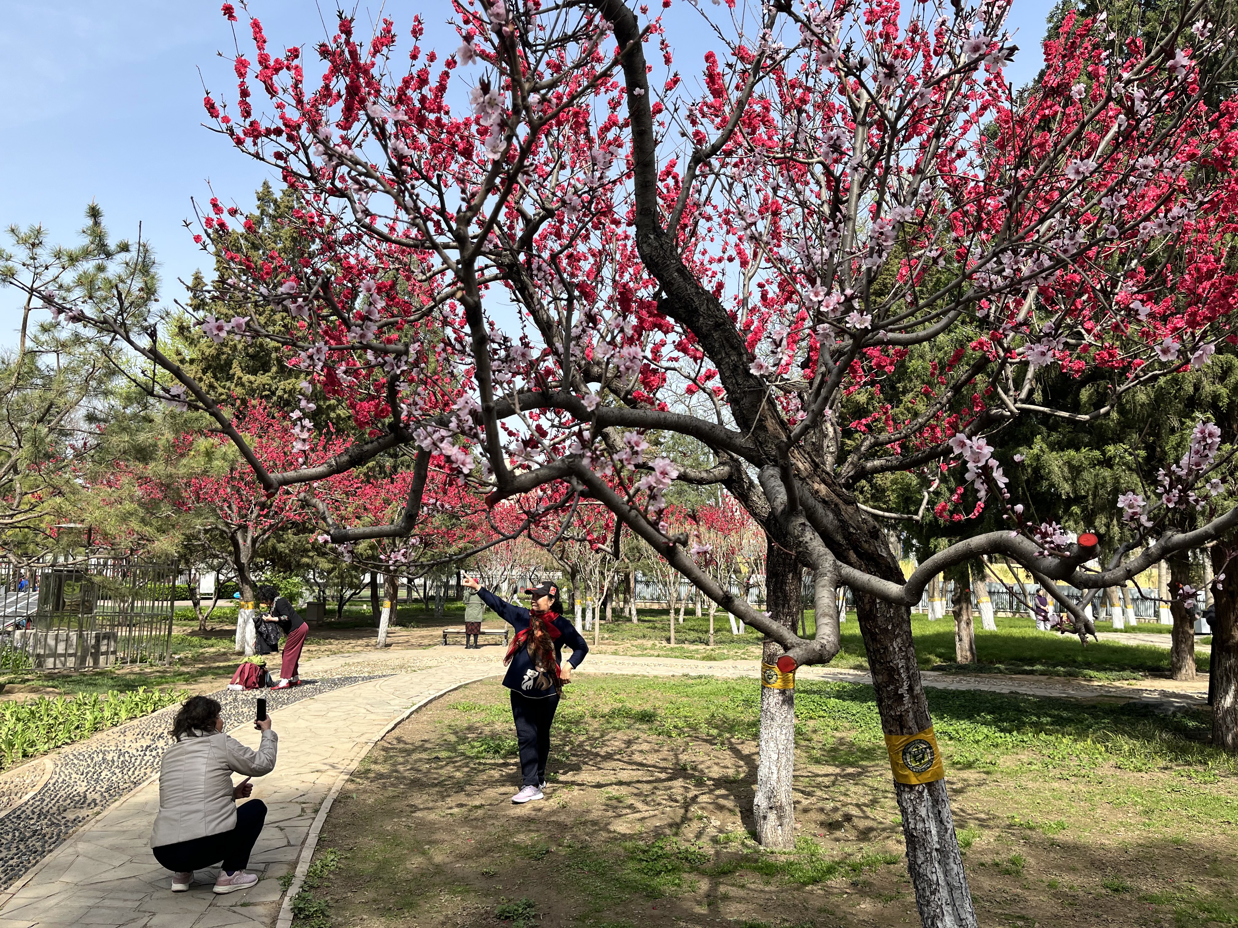 丰台百姓家门口的公园——万芳亭公园