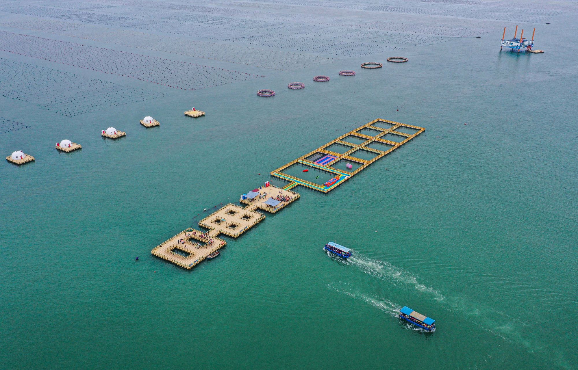 视频|研学游涌入海洋牧场