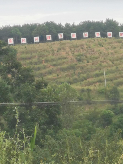 春到中徐家——小记95037部队帮扶湖北红安县中徐家村脱贫奔富路